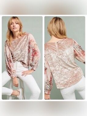 Meadow Rue Blush Pink Velvet Burnout Floral Long-Sleeve Top S 191